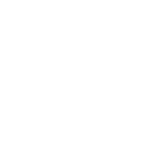 GT Flights